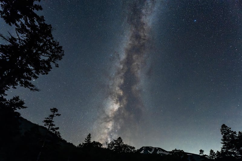 Milky Way Escapes